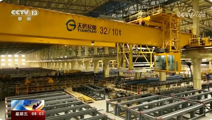 Copper Electrolysis Special Crane and Bale